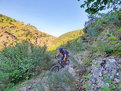 VTT n°10 - Tour des gorges de l'Angust