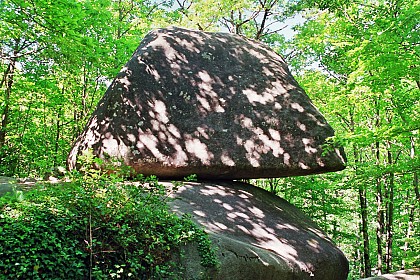 Cambounes - St Salvy - Cambounes (Etape 3/8)