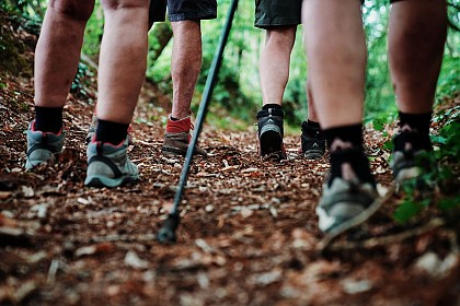 Circuit Les Romains, les Calvaires - Saint-Sauveur-Lendelin