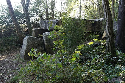 La basse vallée de la Juine