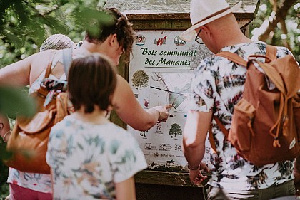 Viesville, Manants Forest and Nature Reserve