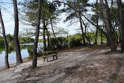 Circuit vélo "entre patrimoine et forêt"