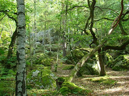 Randonnée Mondeville