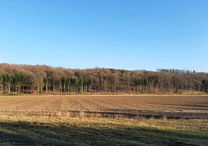 Archennes : balade de l'office du Tourisme de Grez-Doiceau