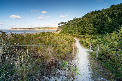 Les dunes de Bon Abri