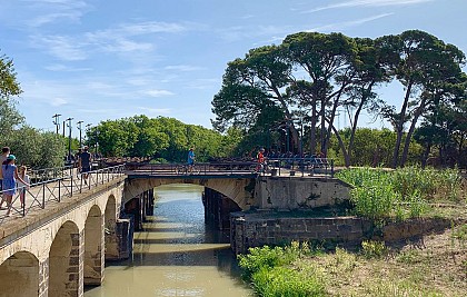 ESPACE VTT FFC 138 : CIRCUIT N°13 LES 3 DOMAINES