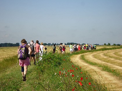 Le Chemin des Frênettes - Piste des Lièvres