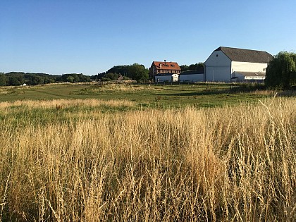 Les balades de la Saint-Georges : 10 km  ( Doiceau Bercuit Morsaint  Biez)