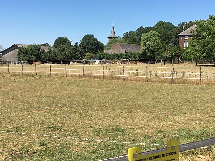 Les balades de la Saint-Georges : 15km (Gottechain Petit-Sart Hèze)