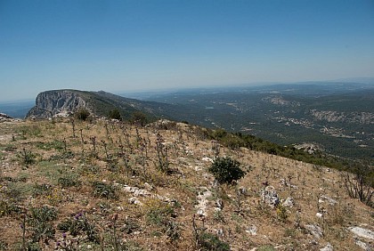 Sentier découverte du pic des mouches - Montagne Sainte - Victoire (Grand site de France)