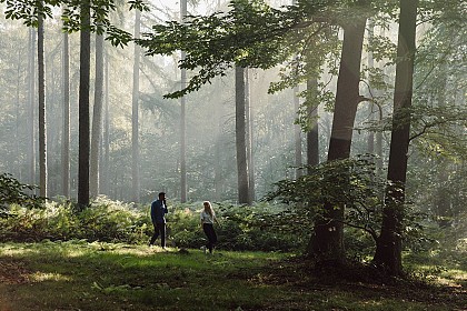 Bois de la Houssière : +/-15 km