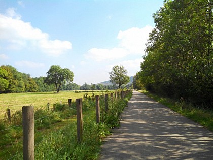 Around the walking and cycling path - Le chemin des mûriers - Loop 6.1