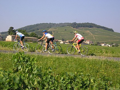 Around walking and cycling path - In the heart of Geopark, le Mont Brouilly - Loop 6.2