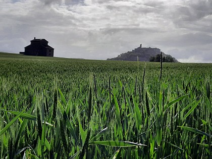 Huttopia Cordes sur Ciel - boucle de la chapelle Saint Jean - 12km
