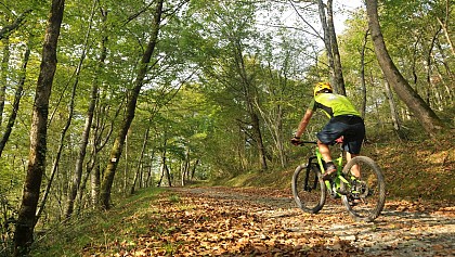 VTTAE N°77 - Entre Gaves et Joos