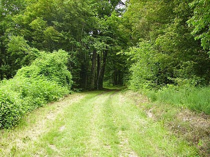Balade sur les chemins de Leuvrigny