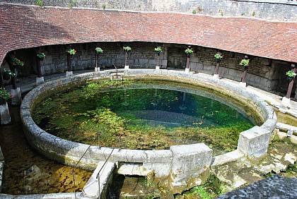 Forêt de Tonnerre (2)