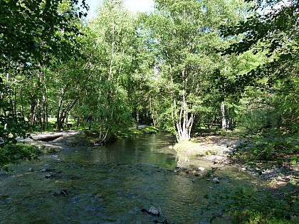 De la ripisylve au canal n°9