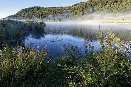 Circuit VTT FFC - Hauteville - Vert 1