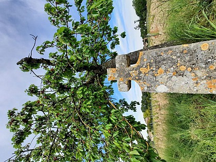 Huttopia Cordes sur Ciel - Grand tour du pays Cordais par Souel - 20km