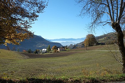 Les Alpages - 37 km - Noir