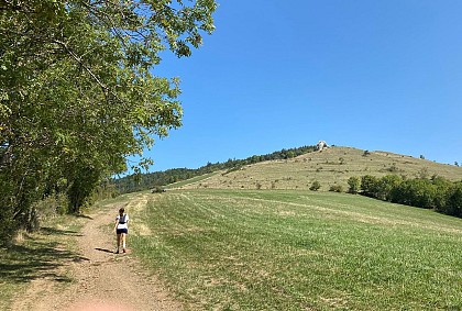 Les Creys - 14 km - Bleu