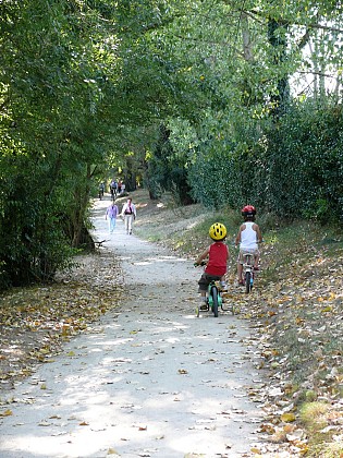 Balade découverte de l'Île Mouchet sur les bords de Loire - ANCENIS