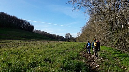 LE SENTIER DES LIMACS