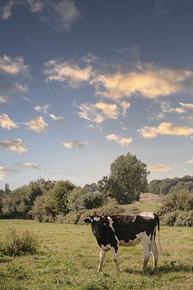 Circuit de la plaine de Cures