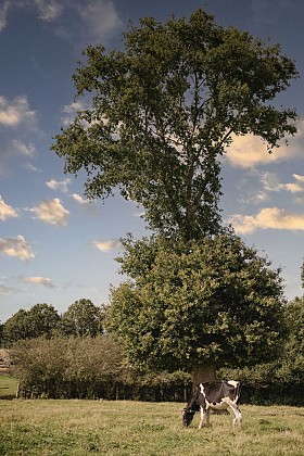 Circuit des Hauts de Cures