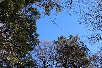 Circuit des panoramas - La Chapelle-Saint-Fray