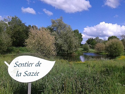 Sentier d'interprétation "Les méandres de la Sazée"