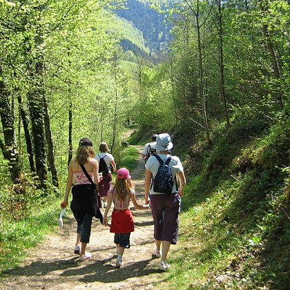 Circuit de Nanteuil-la-Forêt : val tranquille
