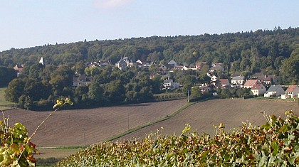 Circuit des bois, prairies et vignes de Germaine