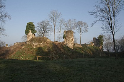 Circuit Découverte : Sur les pas de Hugues 1er de Montfort