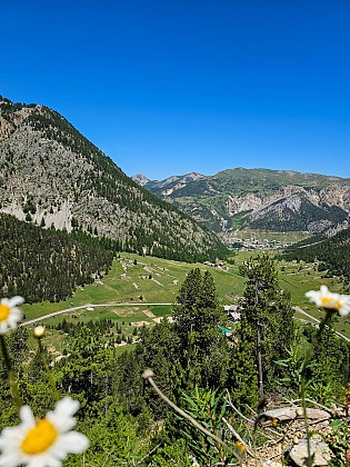 Cervières botanical trail