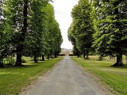 Escapades sur les Crêtes VTT N°3 - La boucle des châteaux (Guignicourt-sur-Vence - 17,7km)