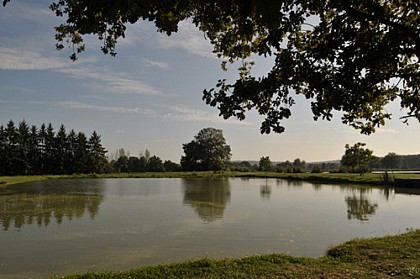 VTT - Aux alentours du Domaine de Vendresse