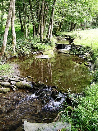 Bièvre - Balade pédestre et VTC/VTT - "Prâje"