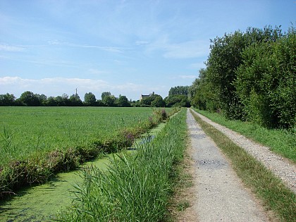 « Les Cyclo’ d’Isigny-Omaha » Isigny sur Mer- 31 km