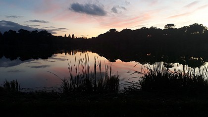 Huttopia Rillé - Etang de pincemaille - 4km