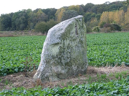 De Verneuil-l'Étang à Mormant (De l'Yerres au ru d'Avon)