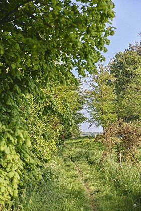 Circuit de l'Ay - Ancteville, Servigny, La Vendelée