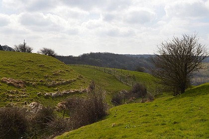 Boucle du Mont Pelé / Mont Hulin