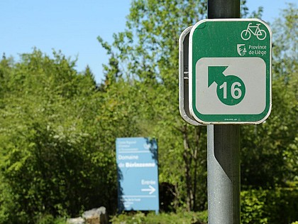 Fagne de Malchamps - Desnié