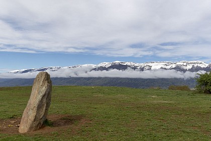 Randonnée pédestre : Grilly - le Mont Mourex