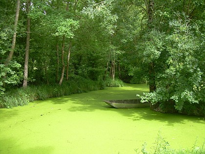 En route pour le Marais à Saint-Georges-de-Rex