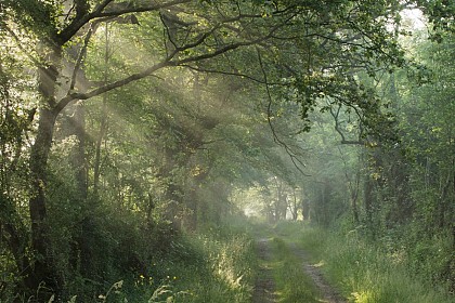 Randonnée en itinérance : de saint-benoit à angles, deux des plus beaux villages de france