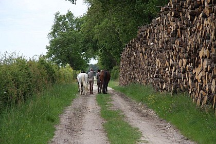La brenne à cheval : entre benaize et anglin (circuit à la journée)