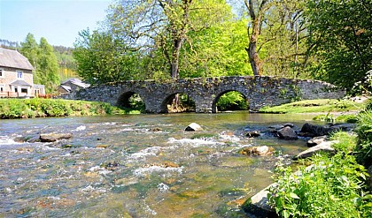 Vresse - Balade pédestre "Le trou des fées"
